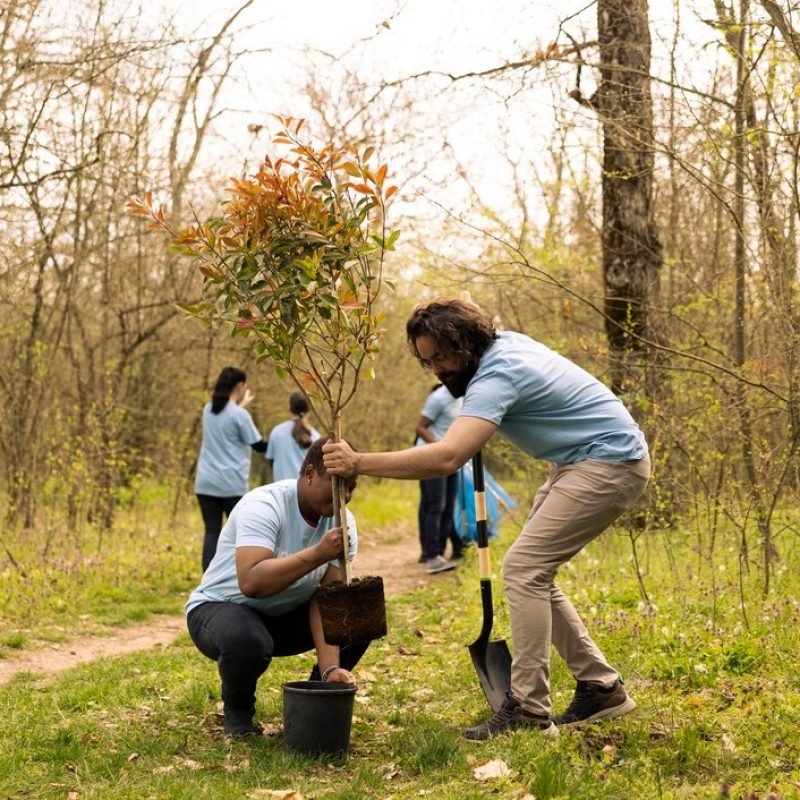 team-environment-volunteers-digging-holes-planting-small-trees_482257-90982